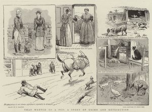 That Wretch of a Pup, en historie om kriminalitet og gjengjeldelse